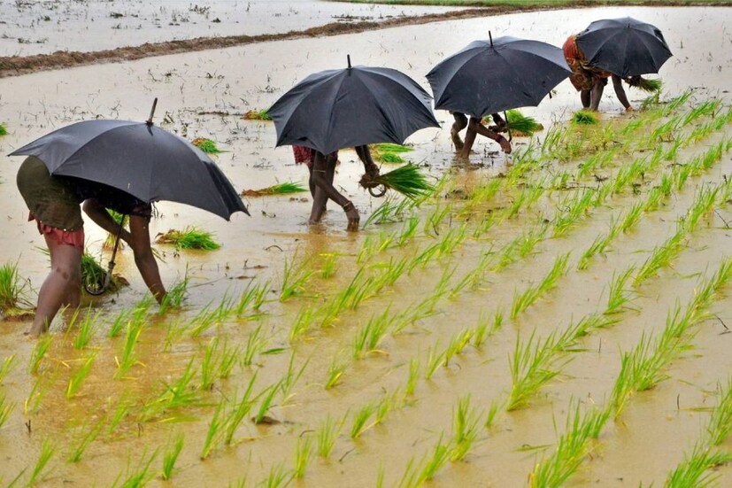 রাজ্যের বিভিন্ন অংশে রয়েছে শিলাবৃষ্টির আশঙ্কাও৷ এতেই অশনি সঙ্কেত দেখছেন কৃষকরা৷