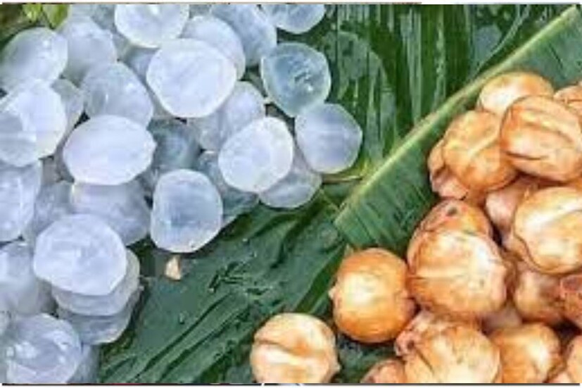 তালশাঁসের সর্বাধিক প্রচলিত ইংরেজি হল আইস অ্যাপল (ice apple) এবং ওয়াইন পাম (wine palm)। 