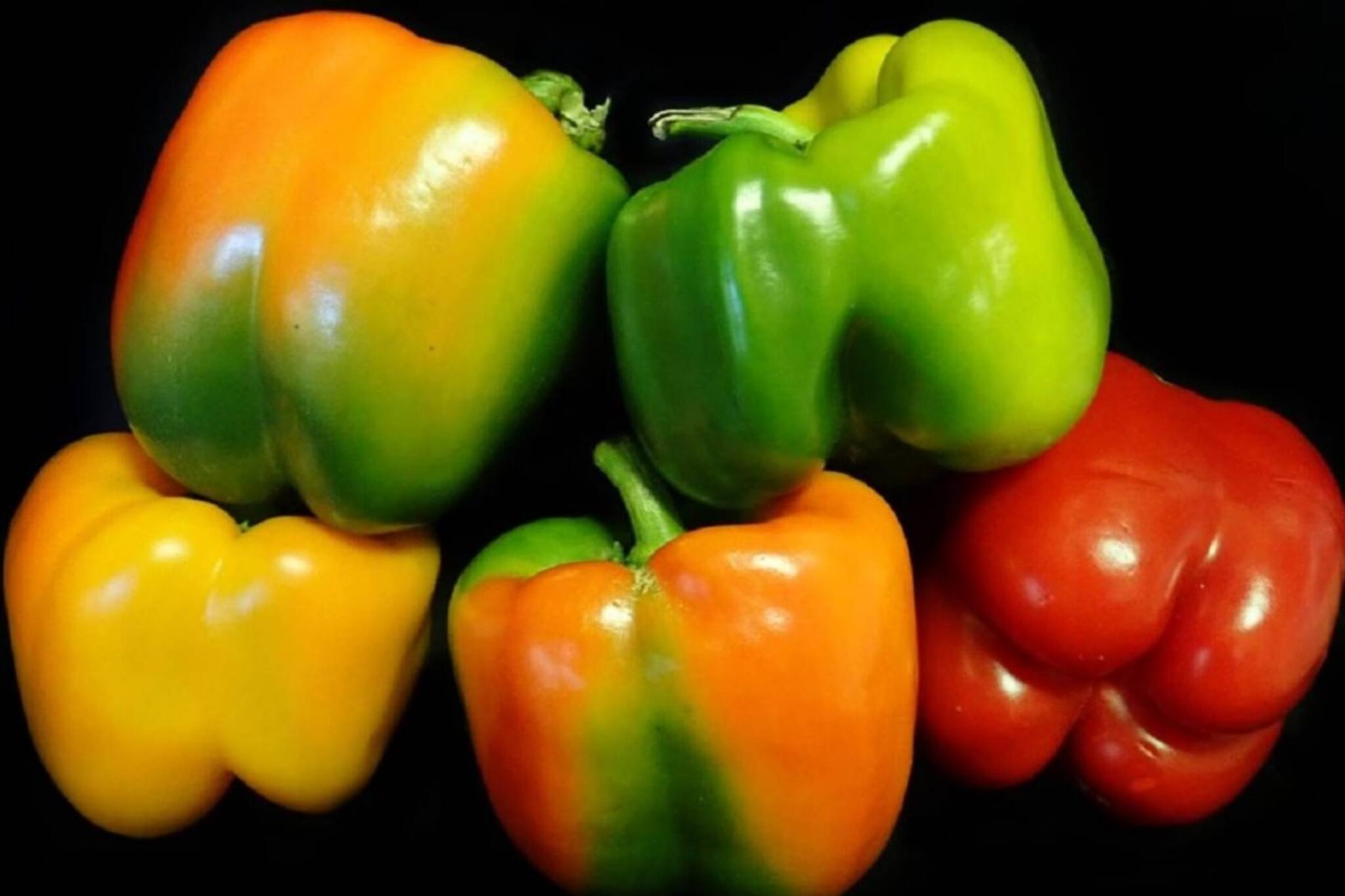 ওজন কমানো থেকে শুরু করে চোখের সমস্যার সমাধান এই সবজি! নিয়মিত খেতে ভুলবেন না