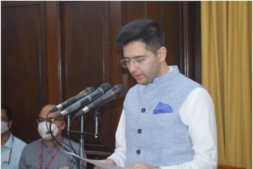 বর্তমানে রাঘব চাড্ডা আম আদমি পার্টির রাজ্যসভার সাংসদ। তিনি রাজ্যসভার সর্বকনিষ্ঠ সাংসদও বটে। রাজনীতির সঙ্গে রাঘবের পরিচয় ইন্ডিয়া এগেনস্ট করাপশন আন্দোলনের হাত ধরে। এই আন্দোলনে যোগ দিতে গিয়েই তাঁর সঙ্গে আলাপ হয় আম আদমি পার্টির নেতা অরবিন্দ কেজরিওয়ালের। তারপরেই তিনি আম আদমি পার্টিতে যোগদান করেন।