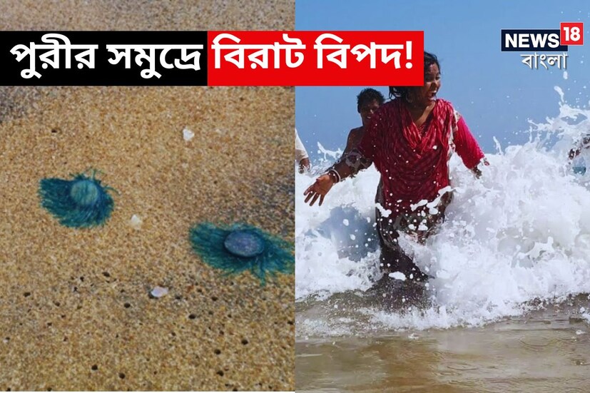 পুরী: বছরের এই সময়ে সমুদ্রে ভিড় করেন প্রচুর বাঙালি পর্যটক। কিন্তু এখন পুরীতে বেড়াতে গিয়েই বিপাকে পড়েছেন অনেকে। (প্রতীকী ছবি)