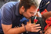 ‘ঘৃণার বাজার বন্ধ, শুরু ভালবাসার দোকান’, কর্ণাটকের ফলে প্রতিক্রিয়া রাহুলের