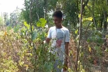 কৃতী