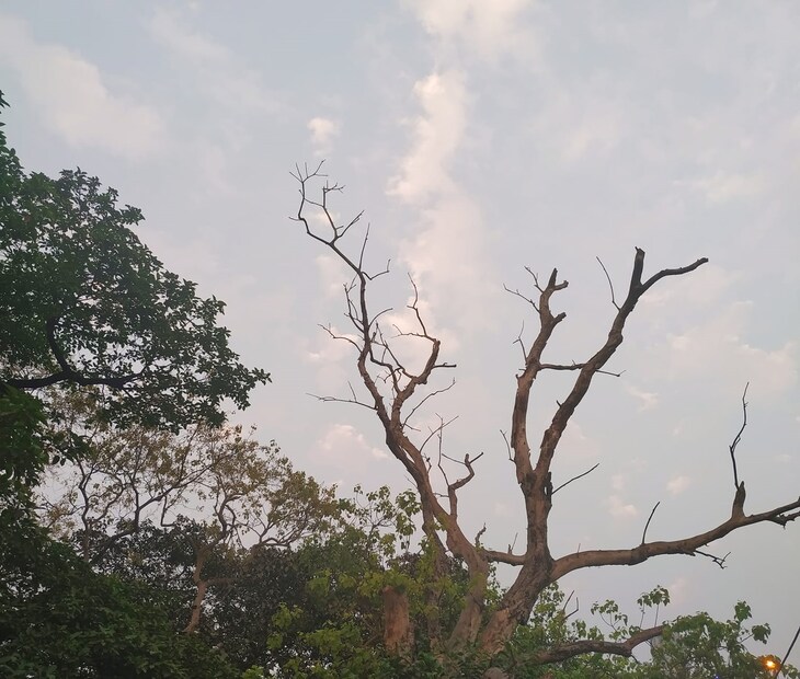 উত্তরবঙ্গে তিন জেলায় আজ, শুক্রবার ভারী বৃষ্টির সতর্কতা রয়েছে। রবিবার থেকে বাড়বে তাপমাত্রা।