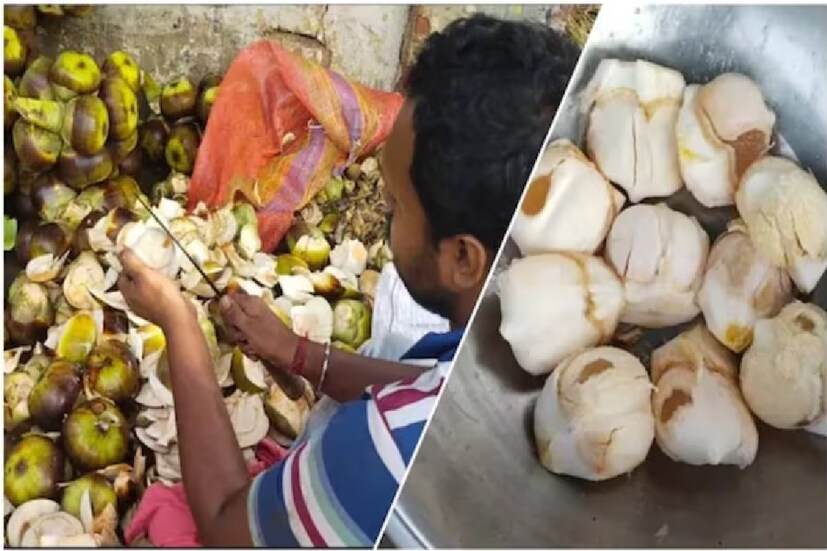 তীব্র গরমে শরীরকে ঠান্ডা রাখতে বিশেষ সাহায্য করে তাল শাঁস। হাসফাঁস গরমে তালের কচি শাঁস এবং এর ভেতরের সুস্বাদু জল তৃষ্ণা মিটিয়ে শরীরে আনে এক আরামদায়ক অনুভূতি।