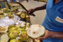 গরমে পাগল হয়ে যাচ্ছেন, শরীর সুস্থ রাখতে কামাল টুসটুসে রসে ভরা এই ফল