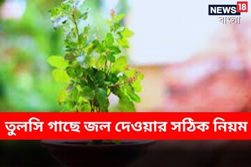 সংসার নরক! চরম অশান্তি-বিশাল ক্ষতি! ভুল দিনে তুলসি গাছে জল ও পুজো? জীবনে সর্বনাশ সংসার নরক! চরম অশান্তি-বিশাল ক্ষতি! ভুল দিনে তুলসি গাছে জল ও পুজো? জীবনে সর্বনাশ