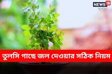 সংসার নরক! চরম অশান্তি-বিশাল ক্ষতি! ভুল দিনে তুলসি গাছে জল ও পুজো? জীবনে সর্বনাশ