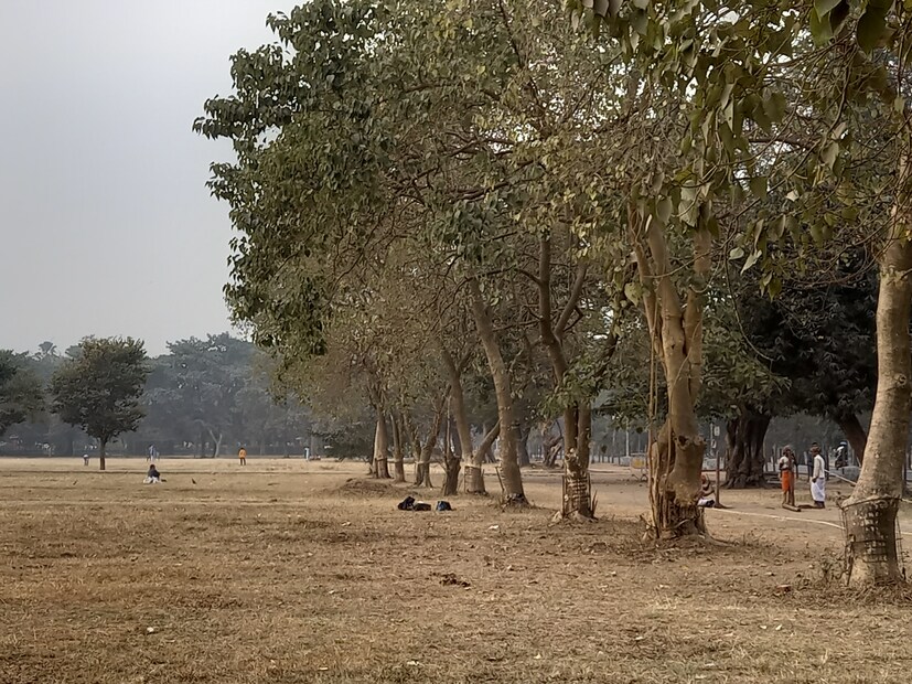 আজ, বুধবার সকালে কলকাতায় সর্বনিম্ন তাপমাত্রা ২৯.১ ডিগ্রি সেলসিয়াস। স্বাভাবিকের তুলনায় যা ২ ডিগ্রি সেলসিয়াস বেশি। গতকাল, মঙ্গলবার বিকেলে সর্বোচ্চ তাপমাত্রা কলকাতায় ছিল ৩৮.৯ ডিগ্রি সেলসিয়াস। এই তাপমাত্রা স্বাভাবিকের তুলনায় তিন ডিগ্রি সেলসিয়াস বেশি। কলকাতার বাতাসে গত ২৪ ঘণ্টায় জলীয় বাষ্পের পরিমাণ ছিল ২৯ থেকে ৮৪ শতাংশ। আগামী ২৪ ঘন্টায় কলকাতা শহরে তাপমাত্রা থাকবে ২৯ থেকে ৩৮ ডিগ্রি সেলসিয়াসের মধ্যে।