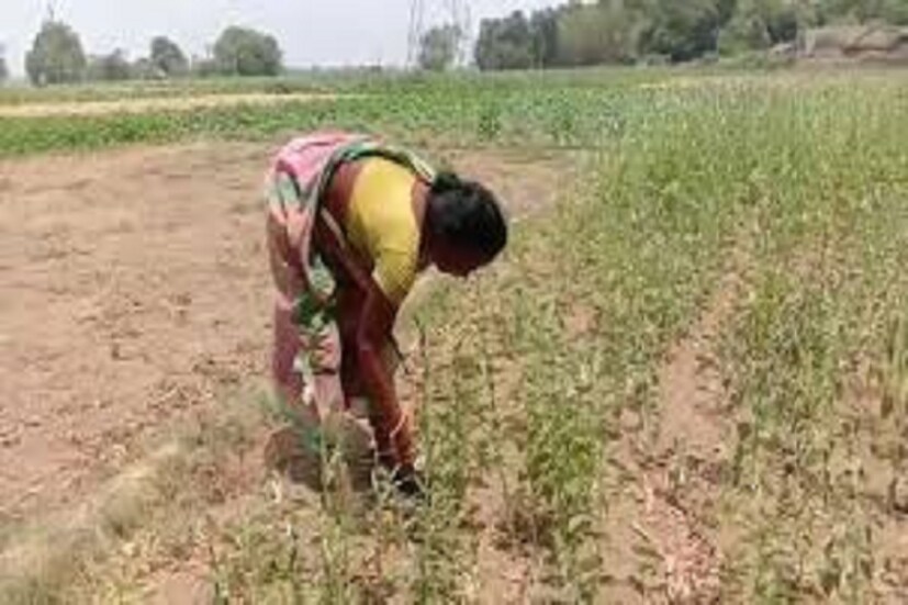ভারতে বা বাংলায় ঘূর্ণিঝড় ধেয়ে না এলেও প্রভাব পড়বে পরোক্ষে এই কথা জানতে পারা গিয়েছে ৷ প্রতীকী ছবি ৷