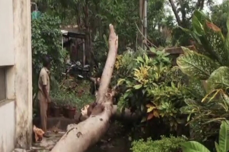  মেদিনীপুর ও খড়্গপুর শহর জুড়ে প্রবল ঝড়বৃষ্টিতে ব্যাপক ক্ষয়ক্ষতি হয়েছে সর্বত্রই। মেদিনীপুর শহরের কুইকোটা, LIC মোড়, বিধাননগর-সহ একাধিক জায়গায় বড় বড় গাছ পড়ে বন্ধ হয়ে যায় রাস্তা। বিদ্যুতের তার ছিঁড়ে পড়ে বিদ্যুৎহীন অবস্থায় রয়েছে একাধিক এলাকা। এমনকি বেশ কিছু এলাকায় বন্ধ হয়ে গিয়েছে ইন্টারনেট পরিষেবা। (রিপোর্টার: শোভন দাস)