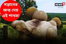 সন্তানের জন্ম দিতে পারে এই পাথর! জীবের মতো করে চলাফেরা, আশ্চর্য শিলার ঘটনা জানুন