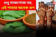 অবসাদ কাটাবে এই পাতা! রূপচর্চাতেও হার মানাবে নামী ব্র্যান্ডকে