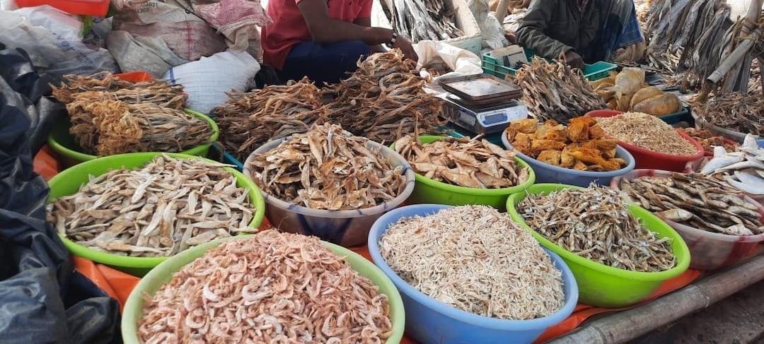 shutki Fish || Interesting Facts: খেয়ে হাতের গন্ধ যায় না! শুঁটকি মাছ ...