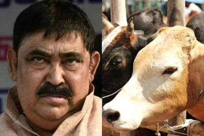 গরু পাচারে অনুব্রত মণ্ডল যোগ
