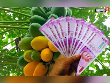 প্রতীকী ছবি