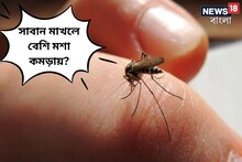 সাবান মাখলে বেশি মশা কমড়ায়? গোপন রহস্য জানলে চোখ কপালে উঠবে