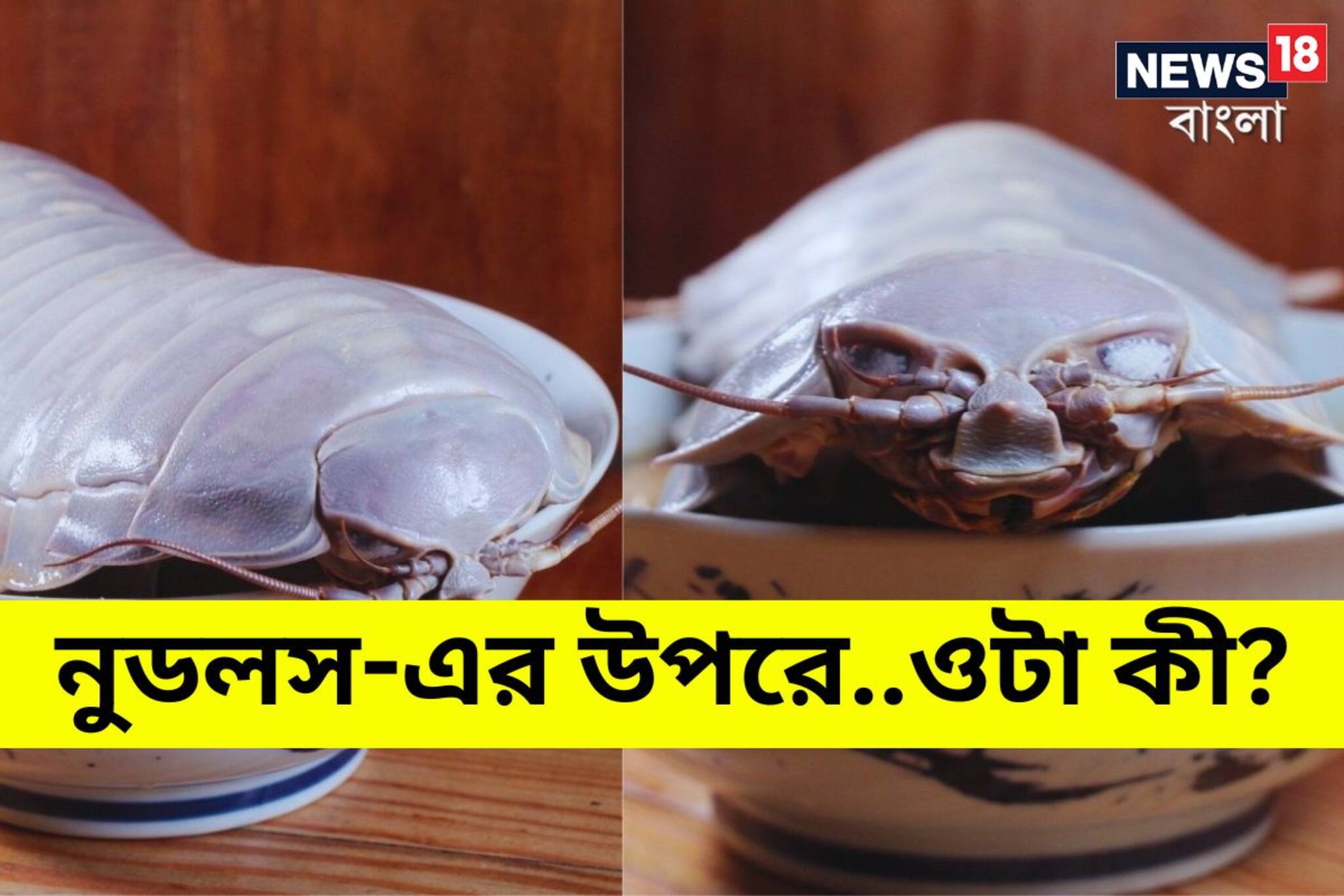 নুডলসের বোল-এর উপরে অতো বড়..... ওটা কী! তাইওয়ানের এই পদের ছবি ভাইরাল হুহু করে