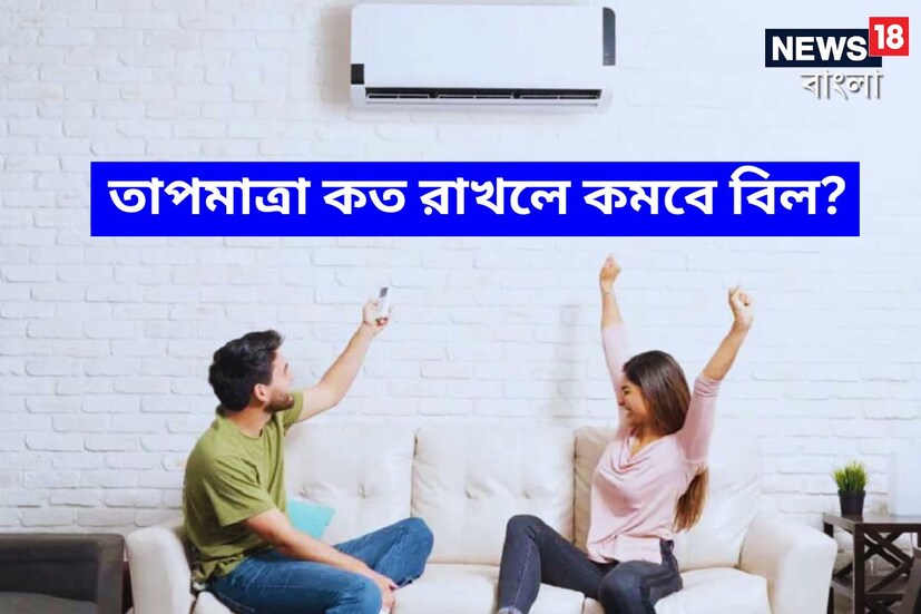 দু-এক পশলা বৃষ্টিতে সাময়িক স্বস্তি হলেও মূলত গ্রীষ্মপ্রধান দেশ ভারতে গরমকাল মানেই চরম কষ্ট। দরদরিয়ে ঘাম আর চাঁদিফাটা দাবদাহ অস্থির করে তোলে দিনভর। বাড়ি বা অফিসে সমানে চলতে থাকে এয়ার কন্ডিশনার। কিন্তু তাতে বাড়তে থাকে বিল।