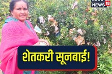 শাশুড়ি-বউমা জুটির কামাল! রুক্ষ জমিতে চাষ করে লক্ষ লক্ষ টাকা রোজগারের দিশা