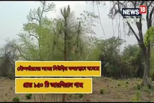১৫০ অ্যারাবিয়ান খেজুর গাছে সেজে উঠছে শেষ যাত্রার ভূমি!