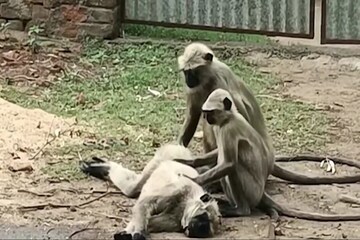 মা-কে