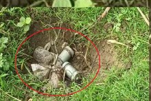 বোমা নাকি ‘মুড়ি-মিছরি’! এবার এখান থেকে পাওয়া গেল তাজা সকেট বোমা