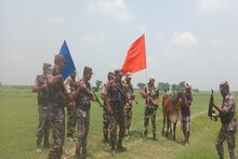 একটা গরুর জন্য রাত জাগলো BSF! পুরো ঘটনা জানলে অবাক হবেন