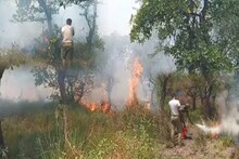 ফের আগুন দেশের বৃহত্তম হিজল বনে, পুড়ে ছারখার একের পর এক গাছ