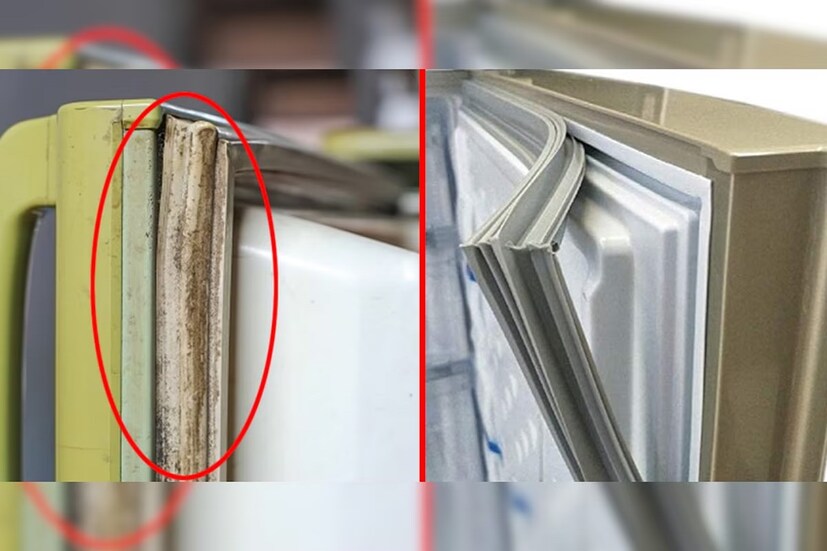 দেখতে খারাপ লাগে তো বটেই, একইসঙ্গে এটি সরাসরি ফ্রিজের ঠান্ডা হওয়ার উপরও প্রভাব ফেলে। আসলে রাবার বা গ্যাসকেটে খুব ময়লা পড়ে গেলে দরজা বন্ধ হয় না।