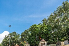 গঙ্গা ভ্রমণের দারুন মজা, সঙ্গে খানাপিনা! সাবমেরিন রেস্তোরাঁ এখন বাজারে হিট