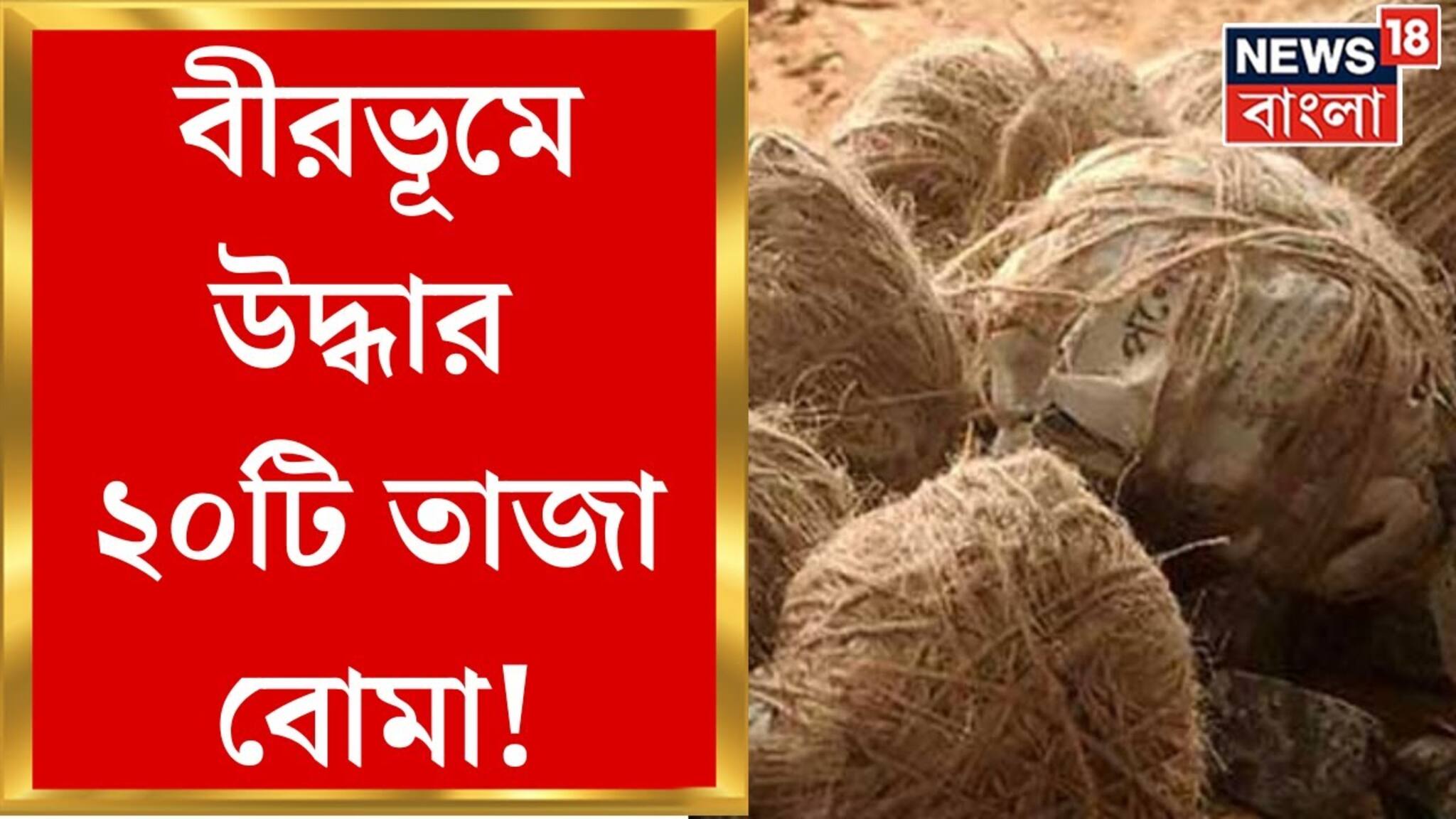 ঝোপের মধ্যে উদ্ধার প্রায় ২০টি তাজা বোমা! আতঙ্ক এলাকায়