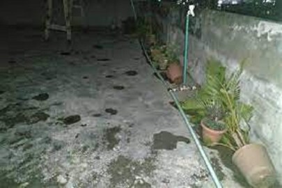 ছাদে এ কী কাণ্ড (প্রতীকী চিত্র)