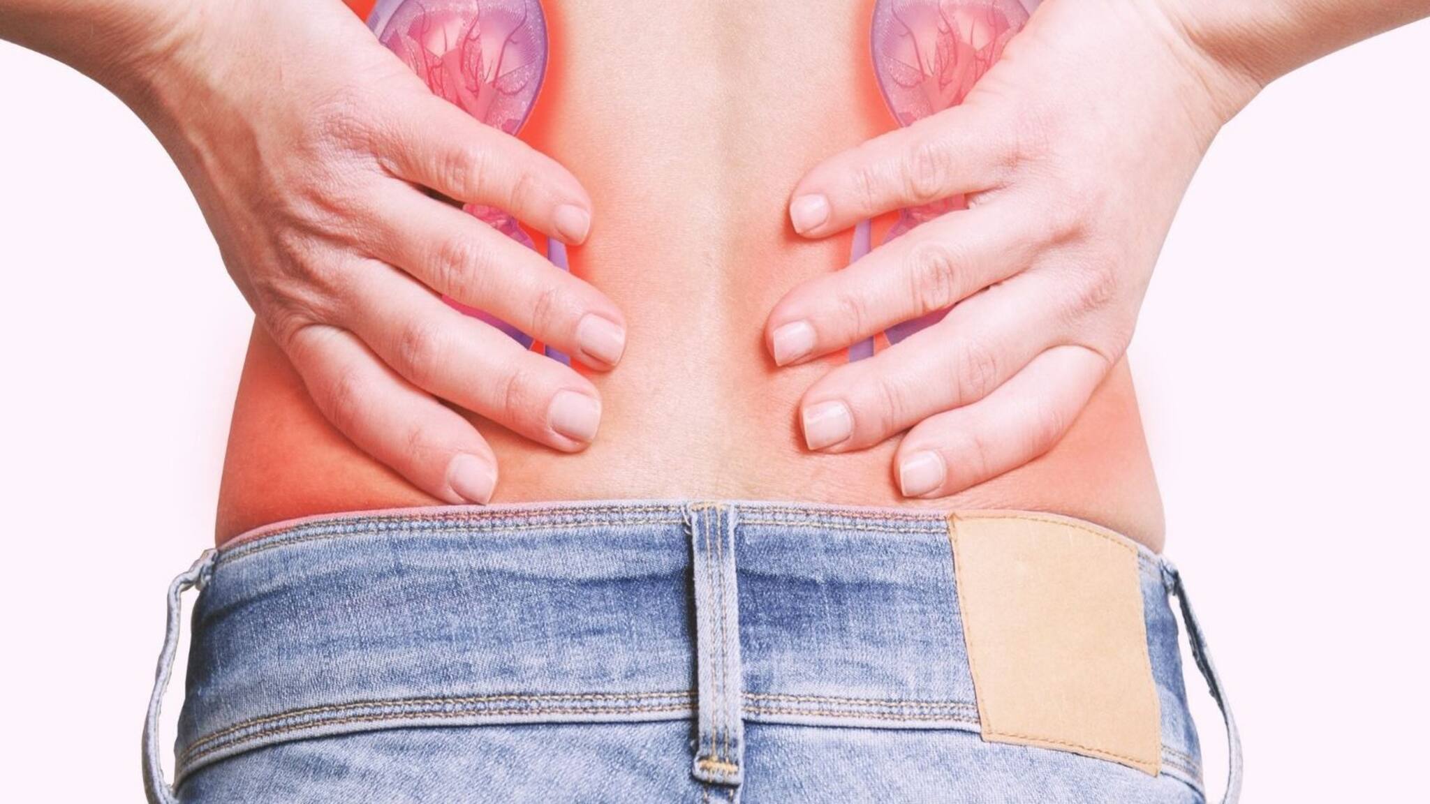 Kidney Stone: গরমে কেন বাড়ছে কিডনি স্টোনের সমস্যা...? আসল 'কারণ' জানালেন বিশেষজ্ঞ চিকিৎসক! সময় থাকতে সতর্ক হন