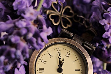 ঘড়ির কাঁটা ডান দিকে ঘোরে কেন, ৯৯ শতাংশ মানুষ উত্তর দিতে পারেননি