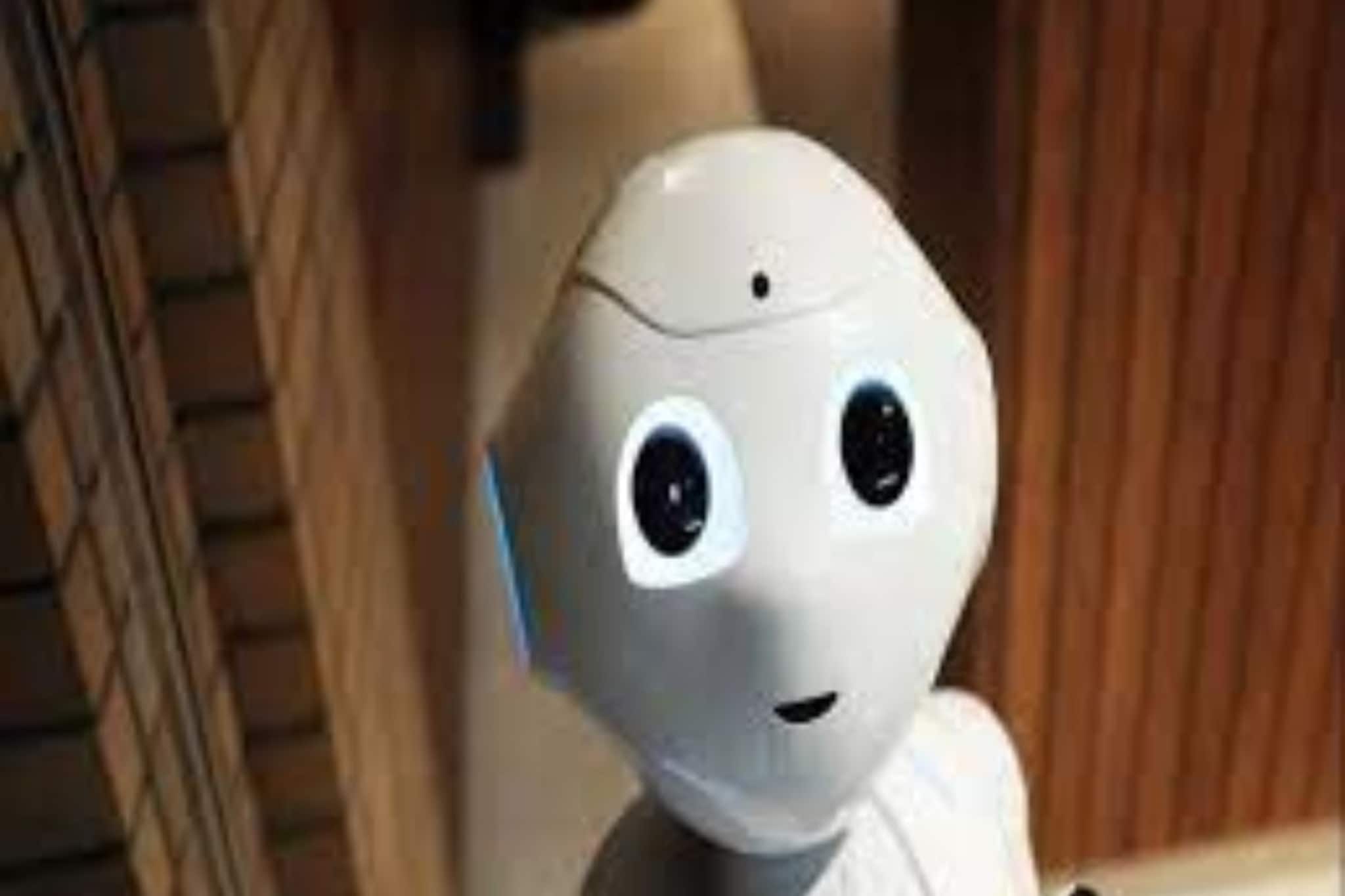 ঘরের কাজ সামলাবে যন্ত্রমানব! মানুষের সুরাহা করবে কৃষক-পুত্রের অনন্য আবিষ্কার