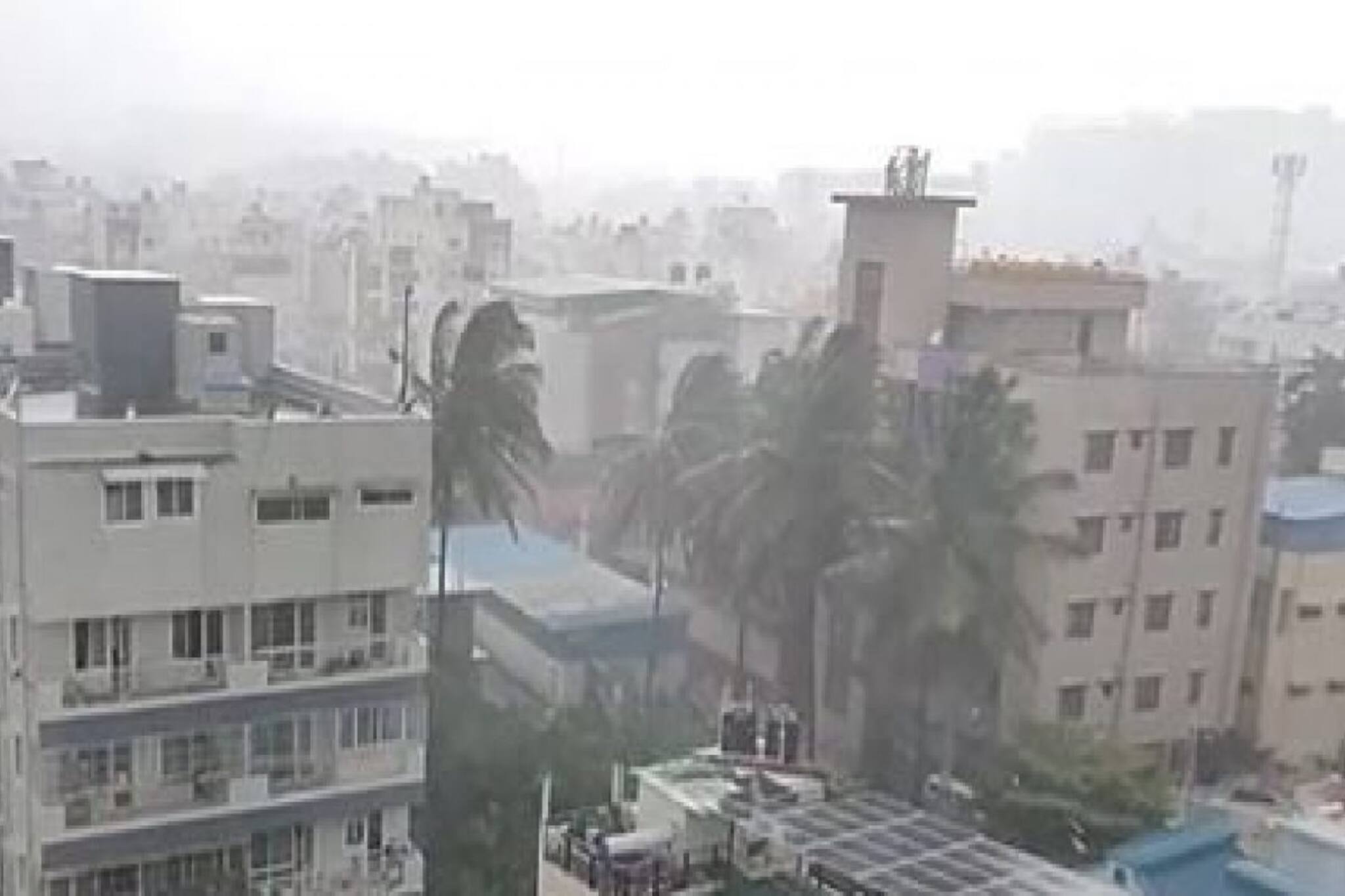 ভয়ঙ্কর ঝড়-বৃষ্টি, গাড়ি নিয়ে বেরিয়েছিল গোটা পরিবার, এমন বিপদ কেউ ভাবতে পারেনি