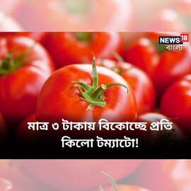 মাত্র ৩ টাকায় বিকোচ্ছে প্রতি কিলো টম্যাটো! দাম পড়ে যাওয়ায় হতাশ চাষিরা মাত্র ৩ টাকায় বিকোচ্ছে প্রতি কিলো টম্যাটো! দাম পড়ে যাওয়ায় হতাশ চাষিরা