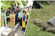 বিশ্ব কচ্ছপ দিবসে স্কুলে এটা কী হল! জানলে খুশি হবেন