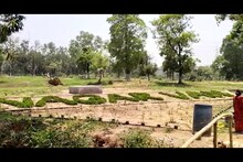 শহরের বুকে বিশাল সবুজের ঠিকানা, পরিত্যক্ত জমিতে গড়ে উঠছে নগরবন