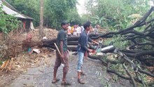 ঘূর্ণিঝড়ের তান্ডবে লন্ডভন্ড! ভাঙল একাধিক গাছ ও মাটির বাড়ি, বিরাট ক্ষয়ক্ষতি