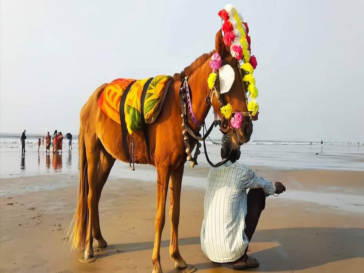 তমলুক সংলগ্ন এলাকায় বাতাসের আদ্রতার পরিমাণ ৬০ শতাংশ। পূর্ব মেদিনীপুর জেলার হলদিয়া শহরের তাপমাত্রা থাকবে সর্বোচ্চ ৩৯ এবং সর্বনিম্ন ২৯.১ ডিগ্রি সেলসিয়াস। বাতাসে আদ্রতার পরিমাণ ৬১ শতাংশ। তমলুক ও হলদিয়ায় এখনই বৃষ্টির সম্ভাবনা নেই।
