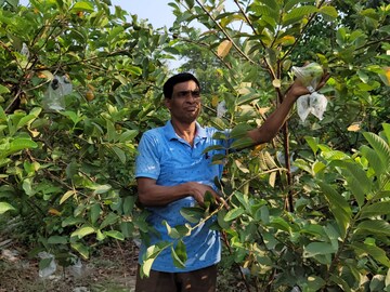 বাড়ির