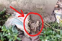 মধ্যরাতে বিরাট আতঙ্ক! চলল তীব্র বোমাবাজি, পঞ্চায়েত ভোটের আগে অগ্নিগর্ভ দিনহাটা