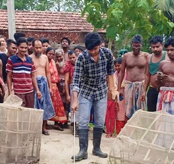 সাপ উদ্ধার সাপ উদ্ধার