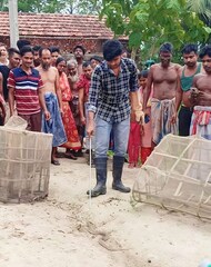 সাপ উদ্ধার