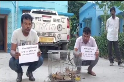 দুটি তক্ষক সহ 2 পাচারকারী