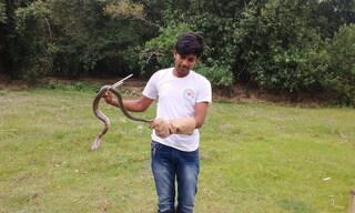 উদ্ধার কেউটে সাপ 