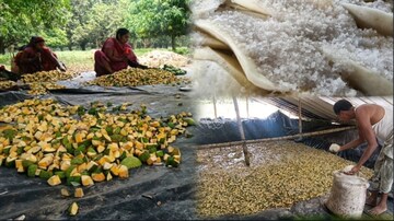 বিশেষ