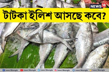 রূপালী টাটকা ইলিশ আসছে 'কবে' বাজারে? দাম কত হবে? বর্ষা আসতেই শুরু 'ইলিশমঙ্গল'